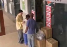 Dois empregados trancados numa loja com cobras… só visto
