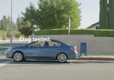 Subaru foi testado por um cachorro